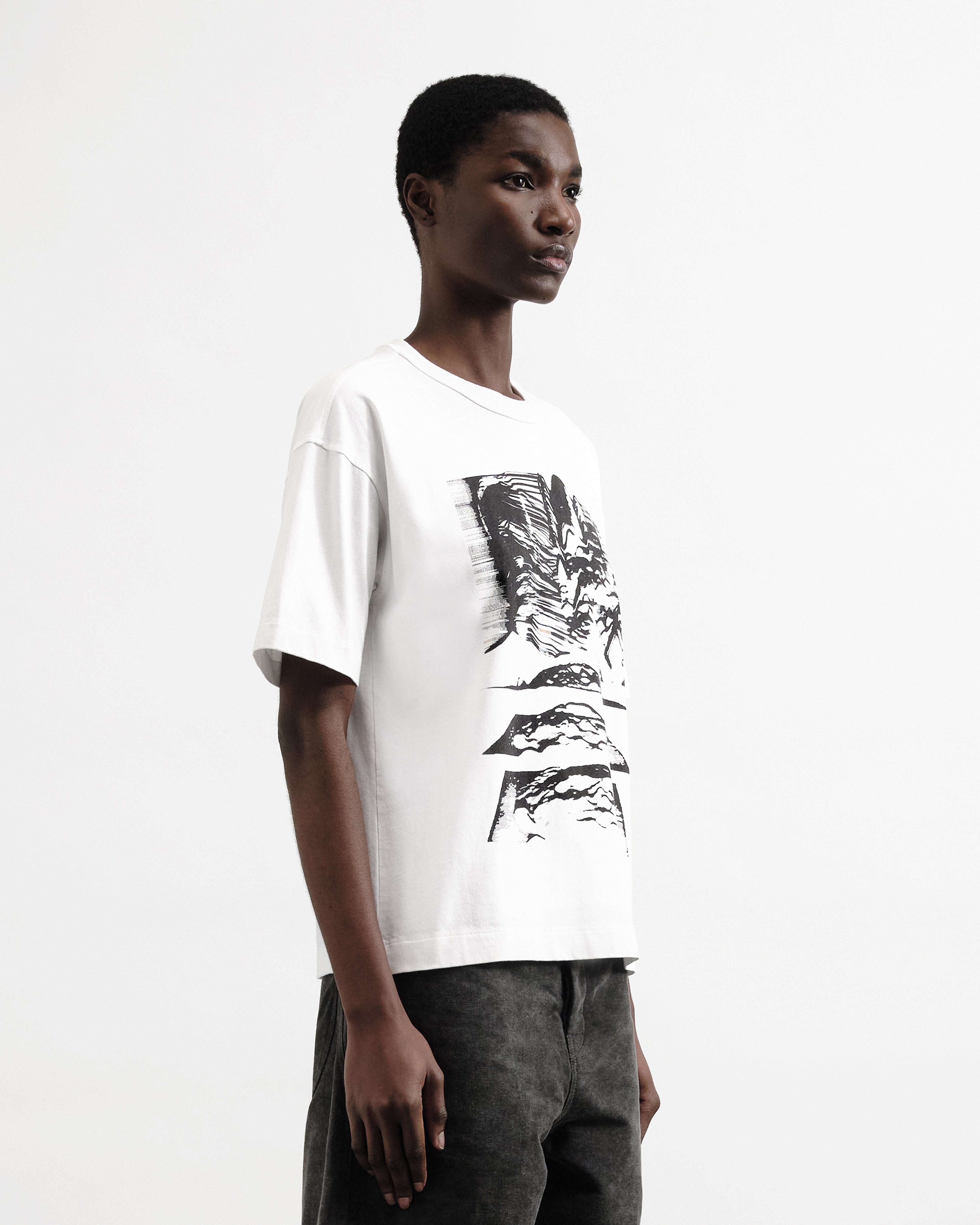 Triple Mountains T-Shirt